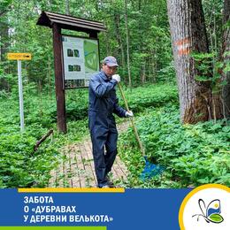 Забота о «Дубравах у деревни Велькота»