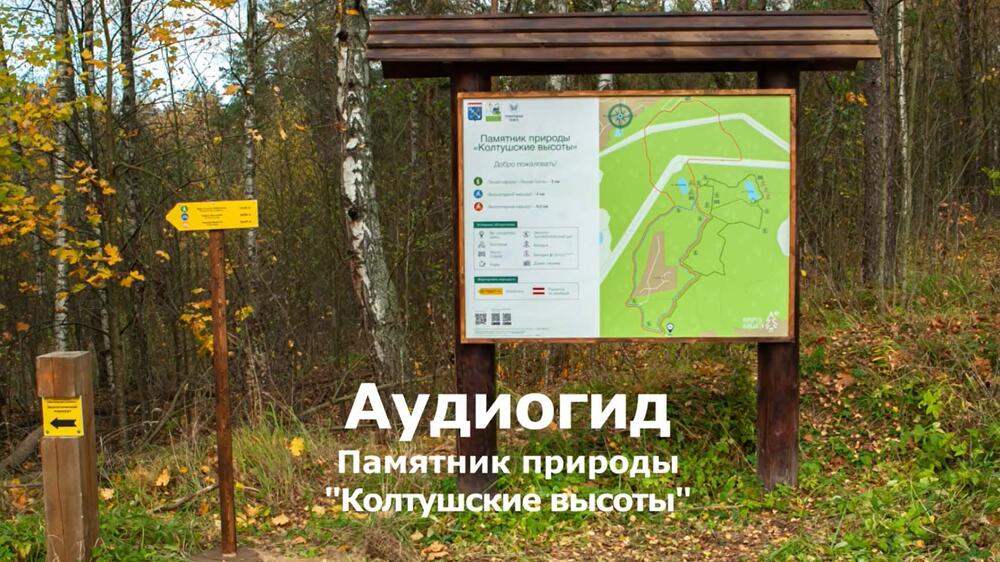 Смотреть видео
