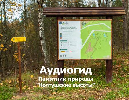 Смотреть видео