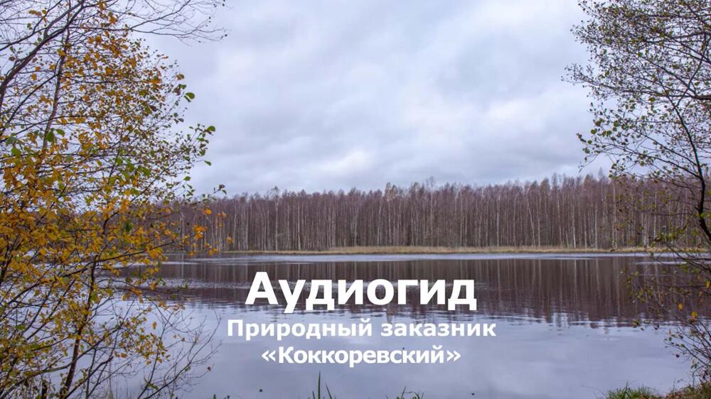 Смотреть видео
