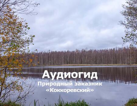 Смотреть видео