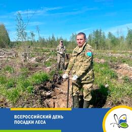 Всероссийский день посадки леса