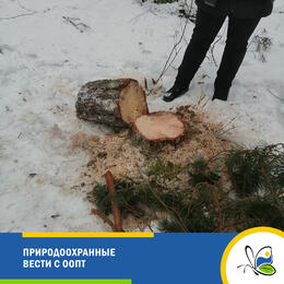 Природоохранные вести с ООПТ