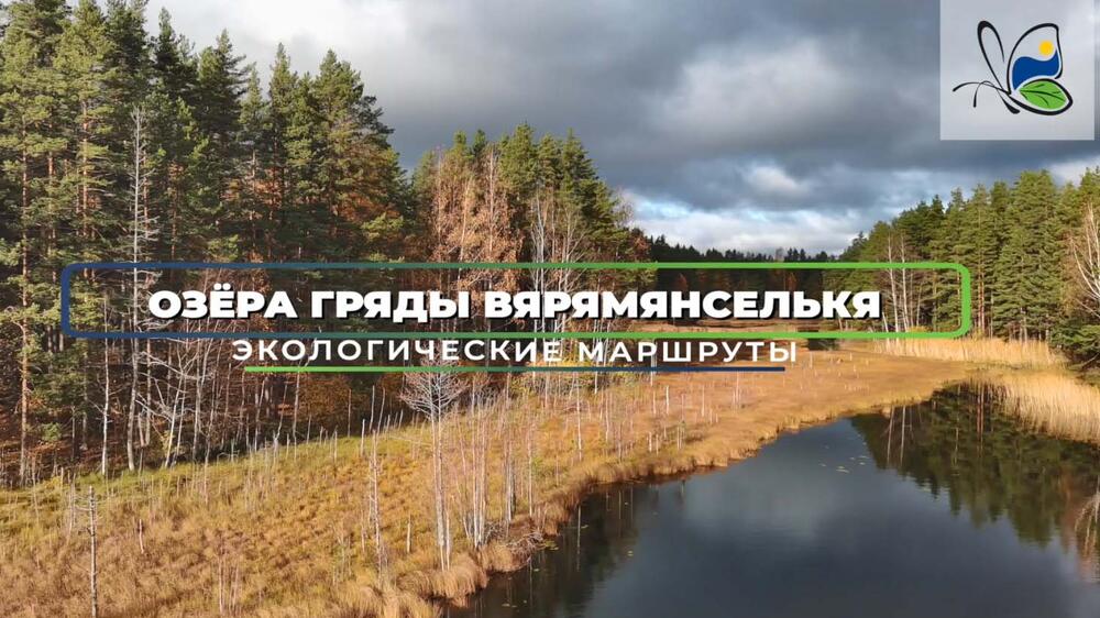 Смотреть видео