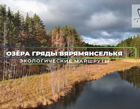 Смотреть видео