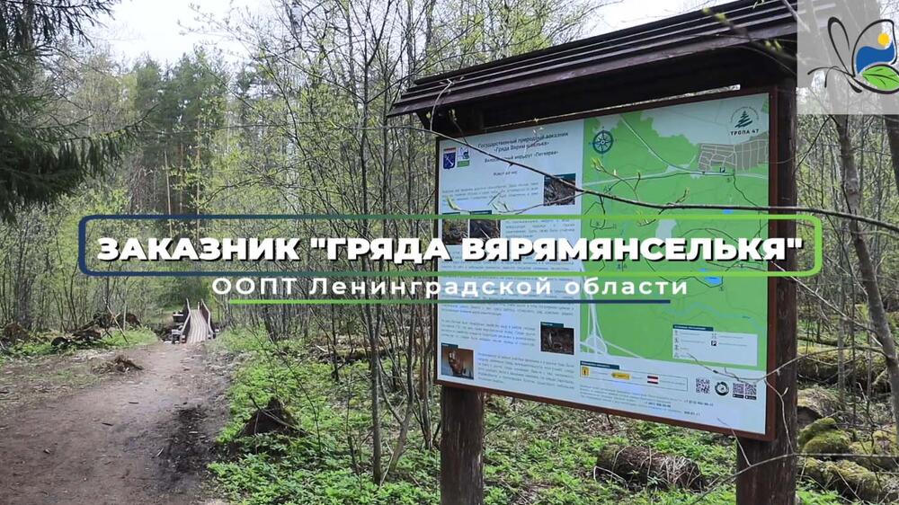 Смотреть видео