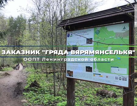 Смотреть видео