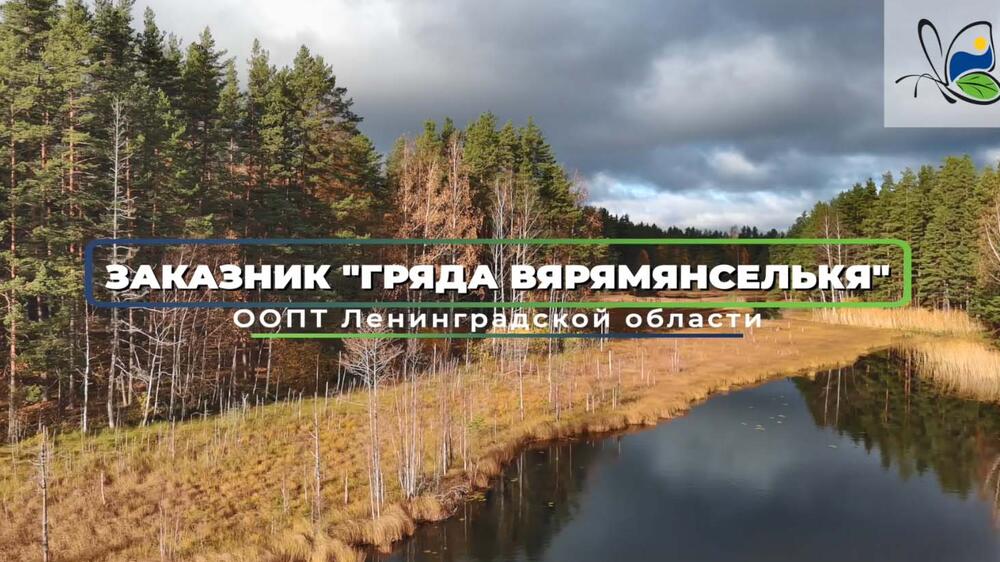 Смотреть видео