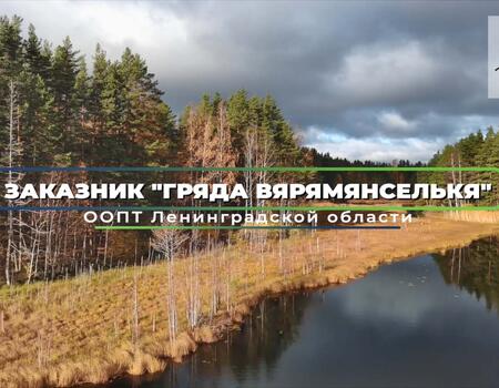 Смотреть видео