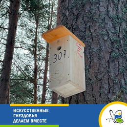 Искусственные гнездовья делаем вместе