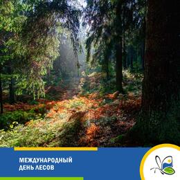 Международный день лесов