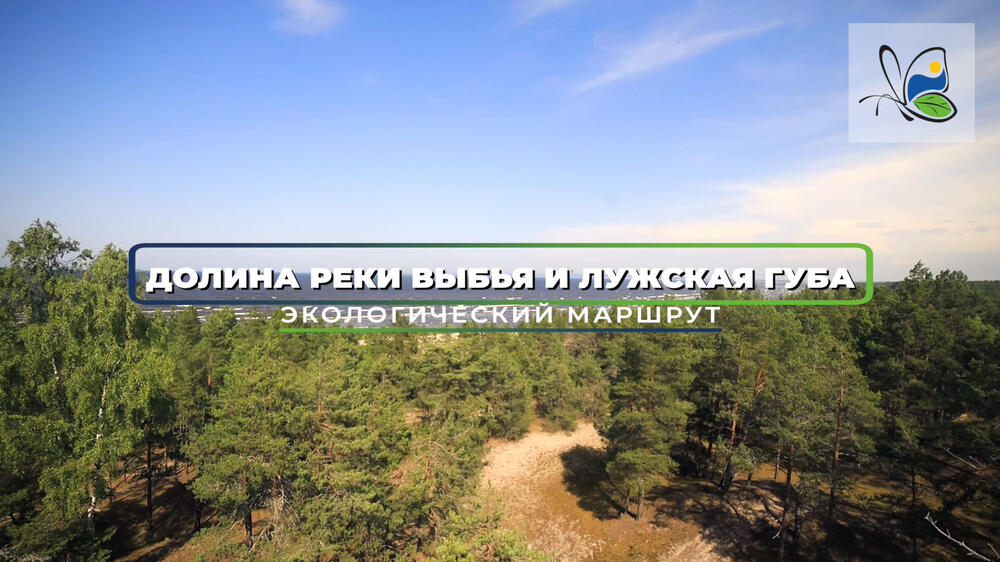 Смотреть видео