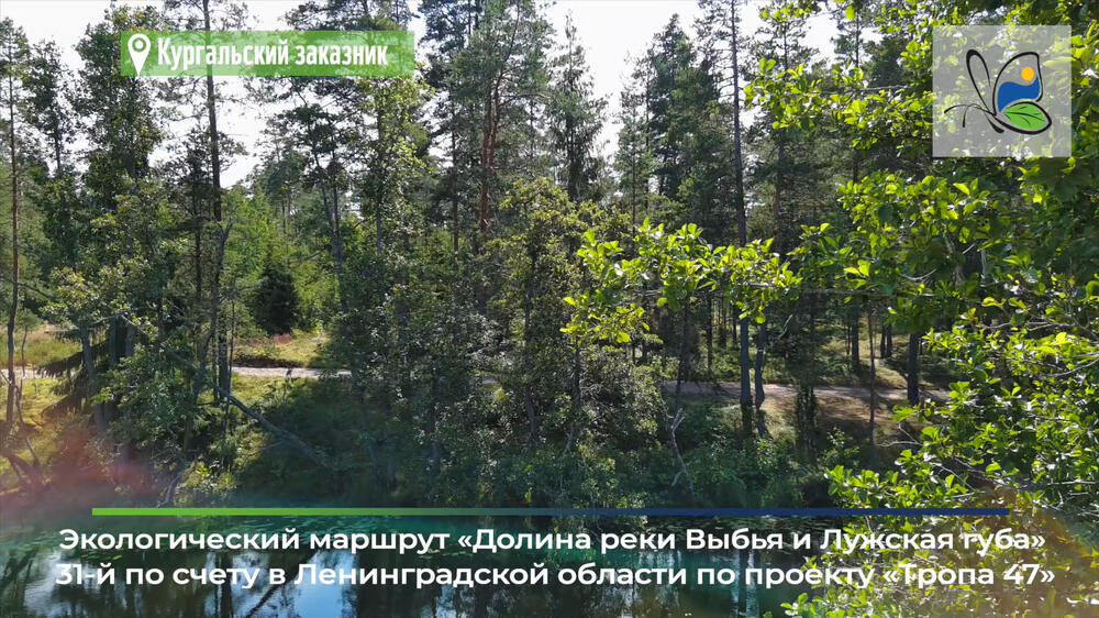 Смотреть видео