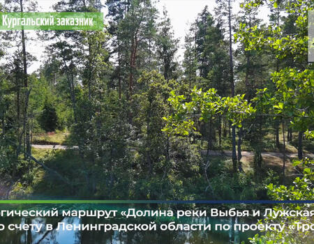 Смотреть видео