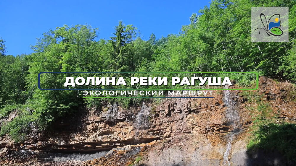 Смотреть видео