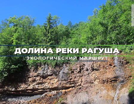 Смотреть видео