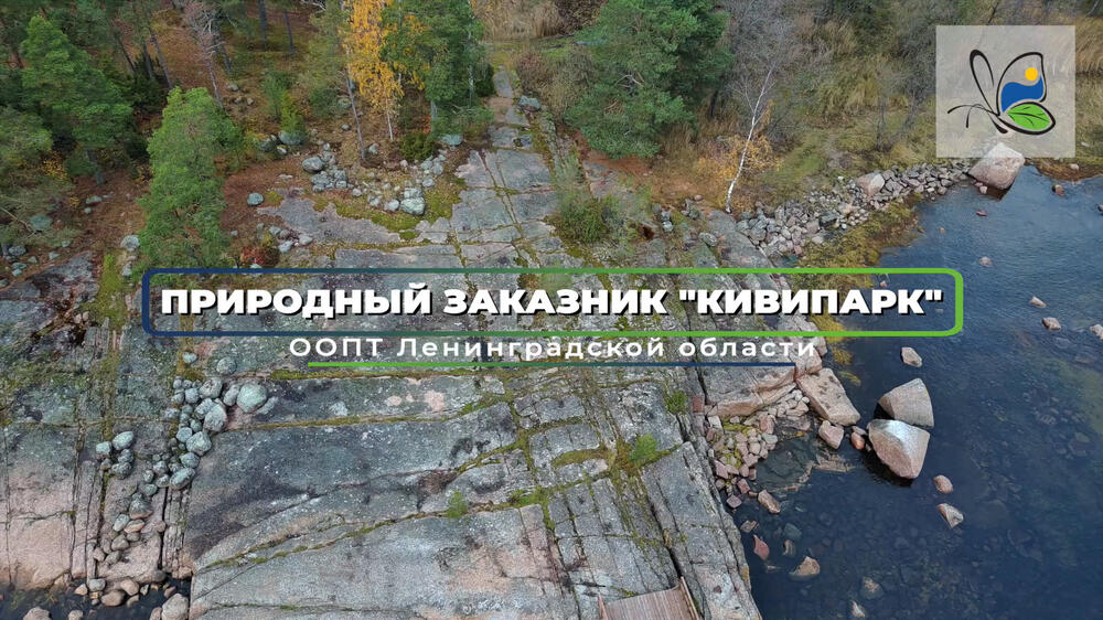 Смотреть видео