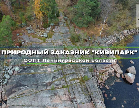 Смотреть видео