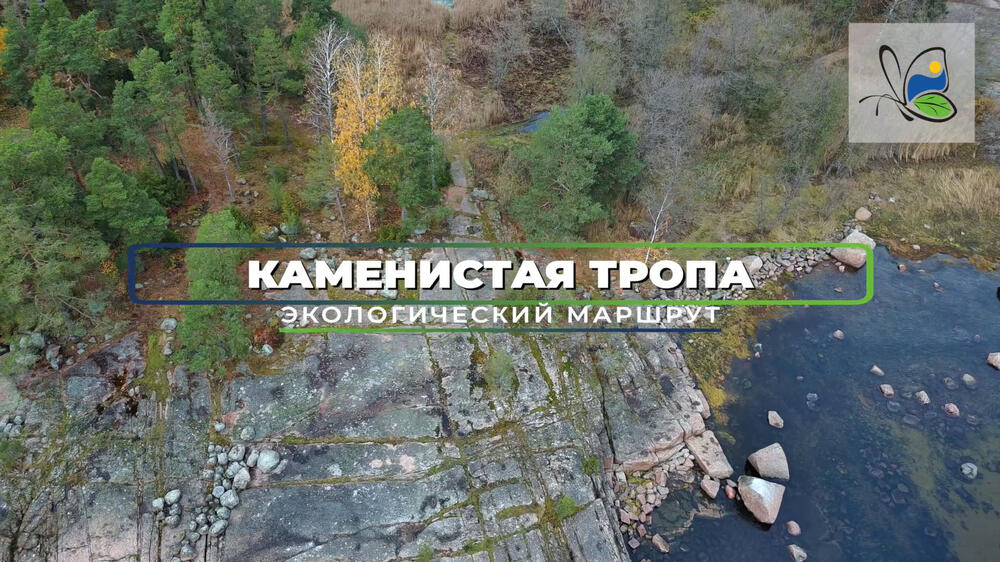 Смотреть видео