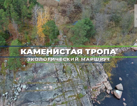 Смотреть видео