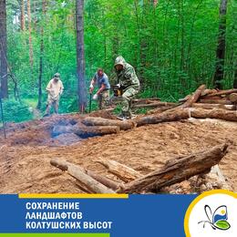 Сохранение ландшафтов Колтушских высот