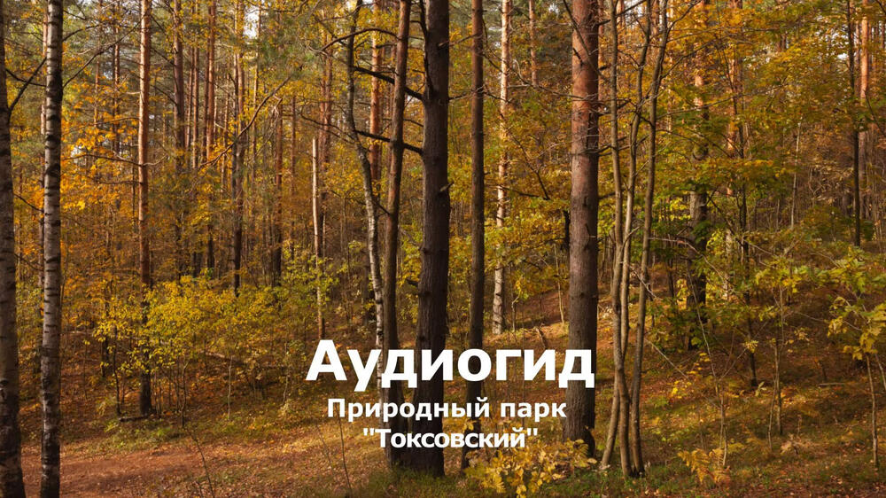 Смотреть видео