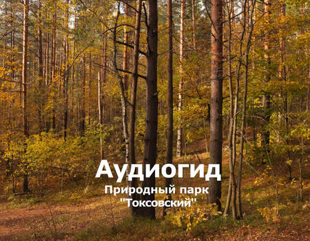 Смотреть видео