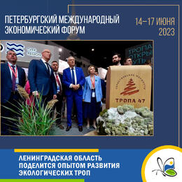Ленинградская область поделится опытом развития экологических троп