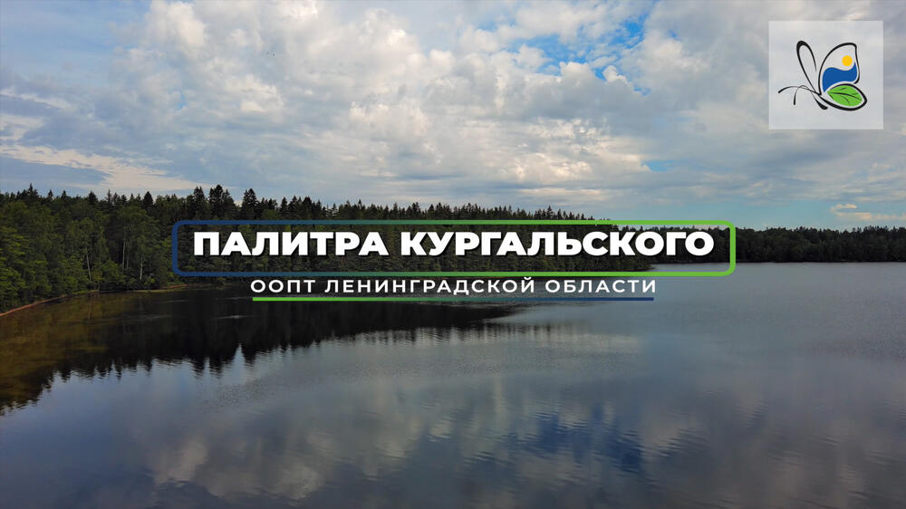 Смотреть видео