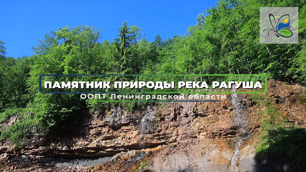 Смотреть видео