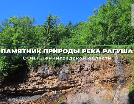 Смотреть видео