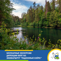Бесплатные экскурсии Дирекции ООПТ ЛО: экомаршрут 