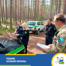 Режим особой охраны