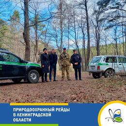 Природоохранный рейды в Ленинградской области