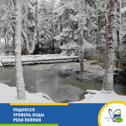 Поднялся уровень воды реки Пейпия