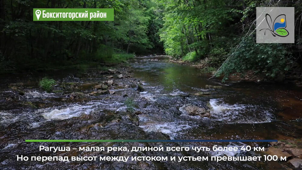 Смотреть видео