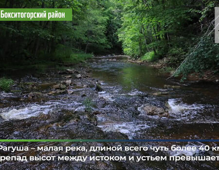 Смотреть видео
