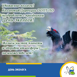 День эколога