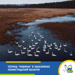 Период 