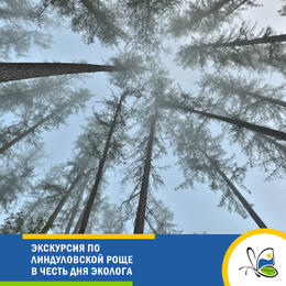 Экскурсия по Линдуловской роще в честь Дня эколога