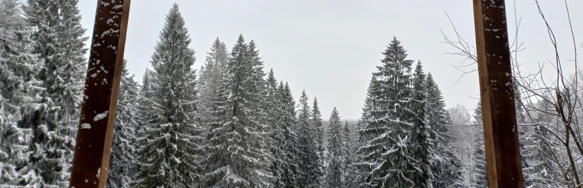 Юкковские камы