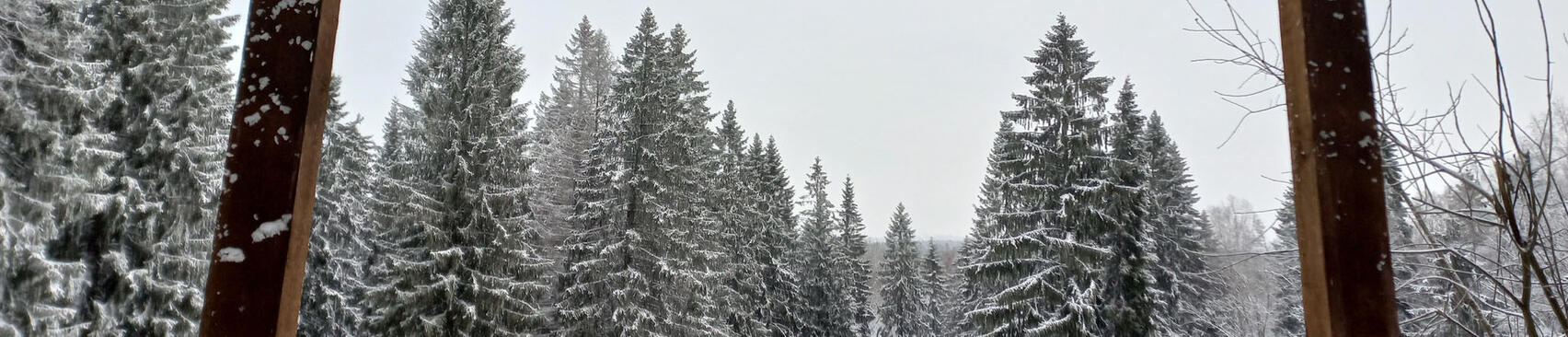 Юкковские камы