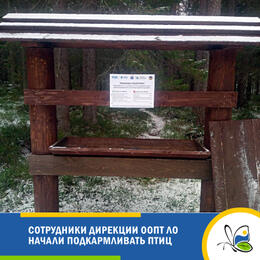 Сотрудники Дирекции ООПТ ЛО начали подкормку птиц