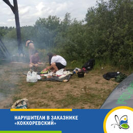 Нарушители в заказнике «Коккоревский»
