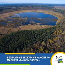 Бесплатные экскурсии Дирекции ООПТ ЛО: маршрут «Раковые озёра»