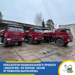 Показатели национального проекта «Экология» по охране лесов от пожаров выполнены
