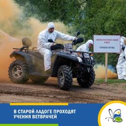 В Старой Ладоге проходят учения ветврачей