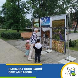 В Тосно открылась фотовыставка ООПТ ЛО