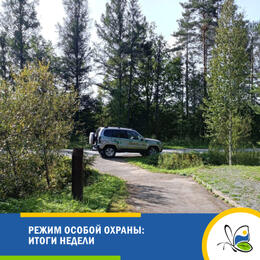 Режим особой охраны ООПТ: новости недели