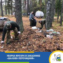Сотрудники Дирекции ООПТ ЛО привели в порядок заказник «Шалово-Перечицкий».
